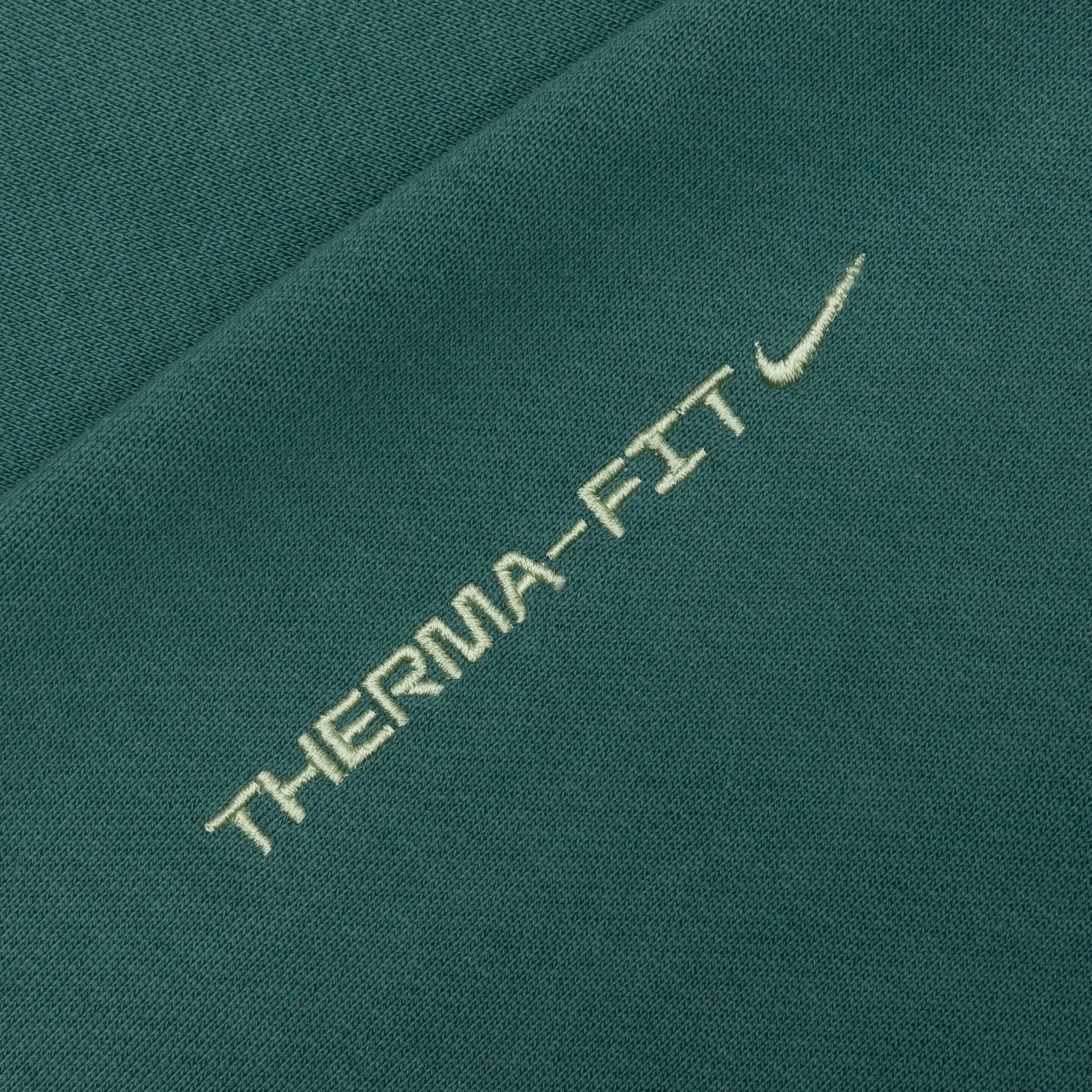 ACG Therma-Fit Hoodie - Bicoastal Dusty Sage Honeydew