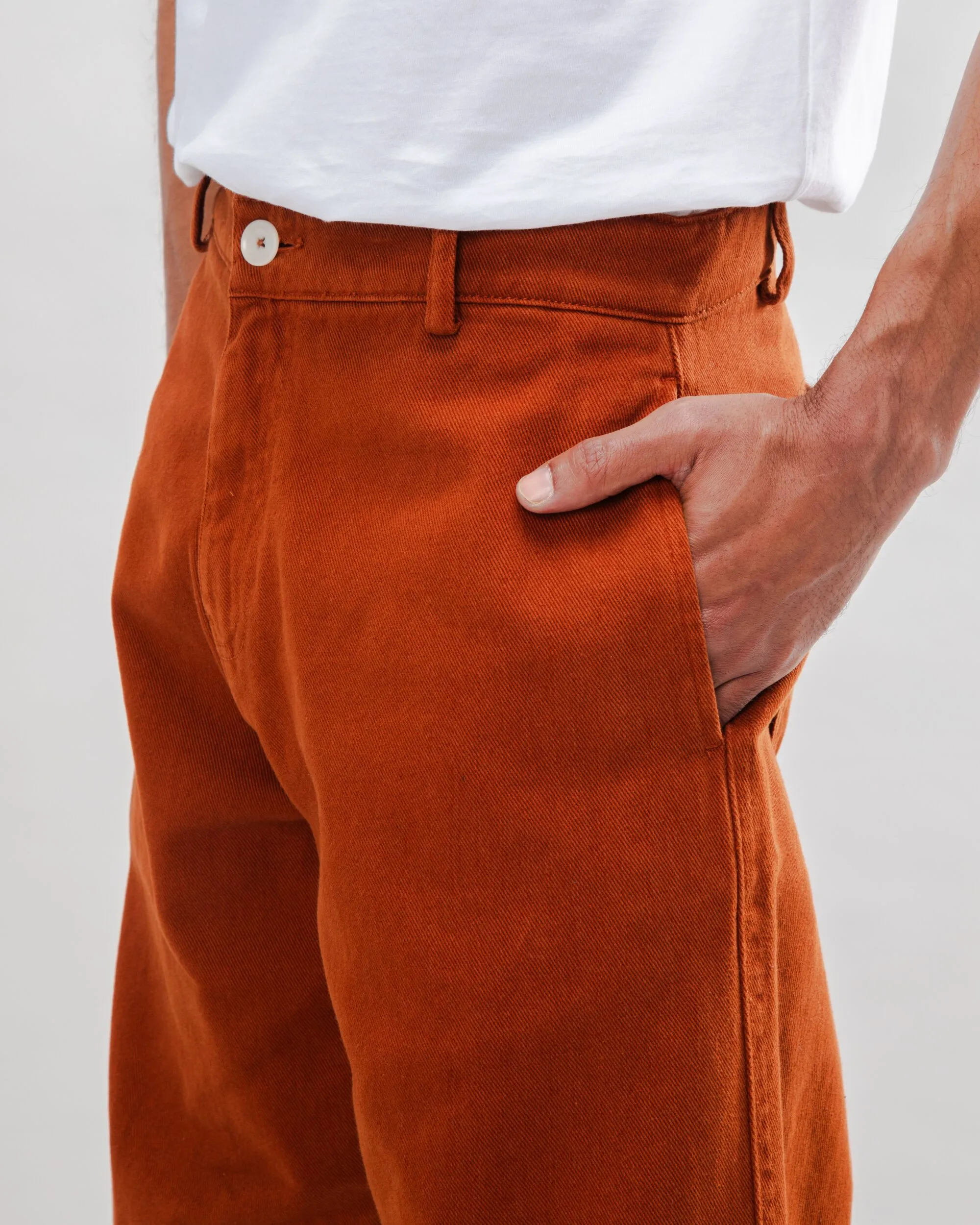 Carpenter Twill Pants Brown