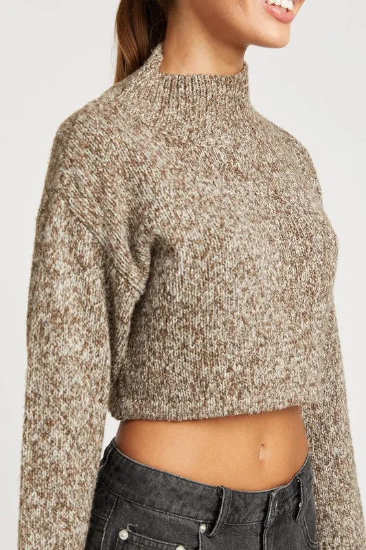 Contrasting Turtle Neck Crop Top