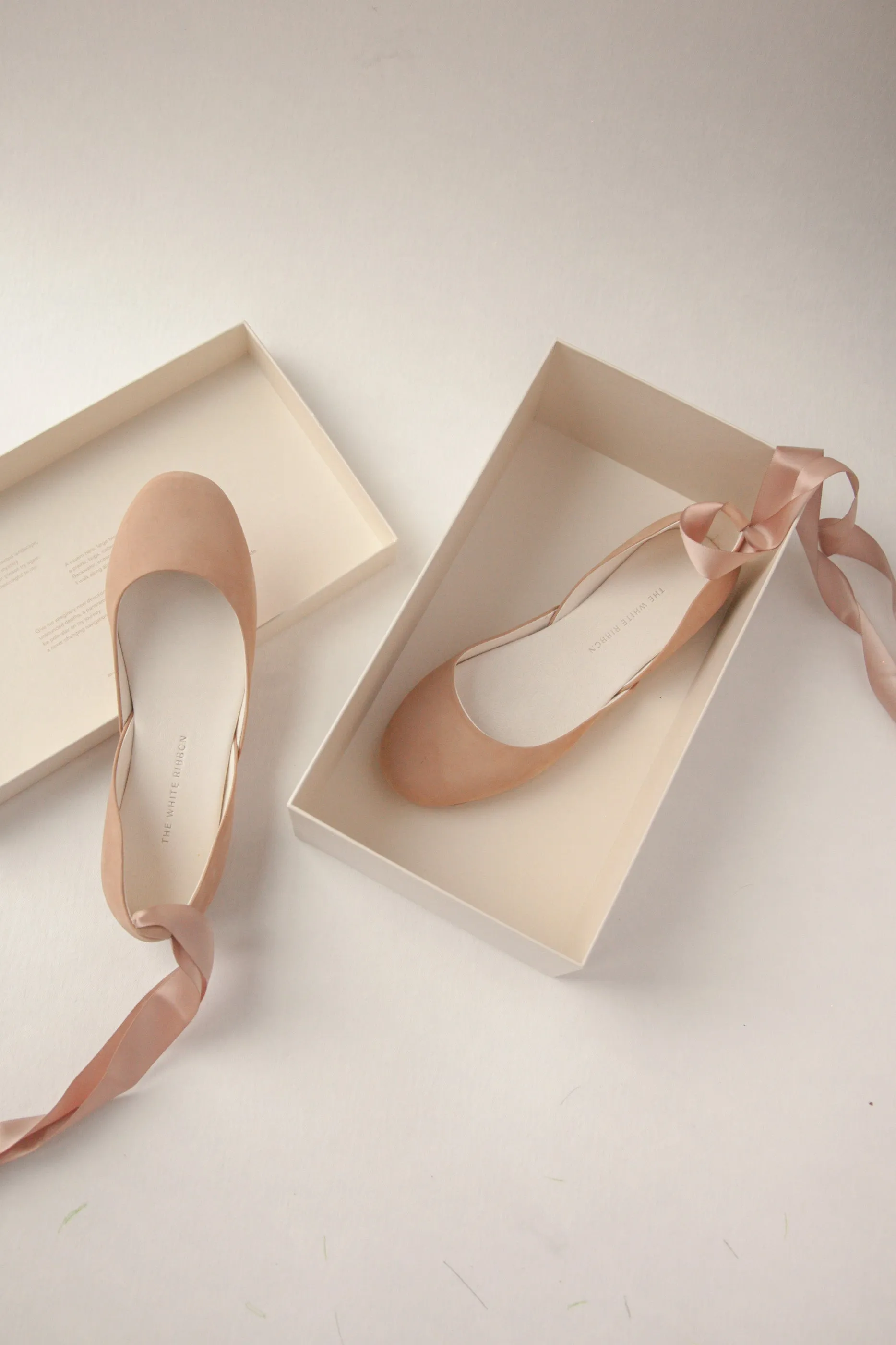 Luna Ballet Flats - Blush