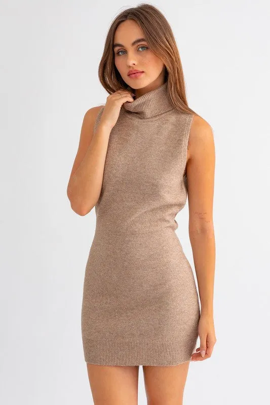 Sleeveless Turtle Neck Knit Dress