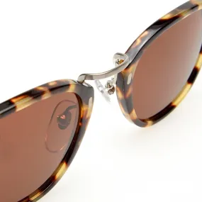 Tortoise Illesteva Tribeca Sunglasses